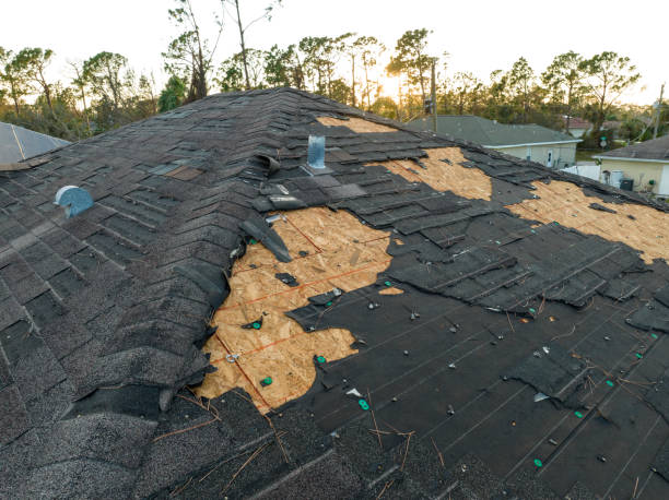 Fast & Reliable Emergency Roof Repairs in Central Gardens, TX