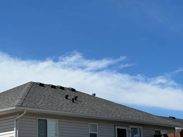 Best Storm Damage Roof Repair  in Central Gardens, TX